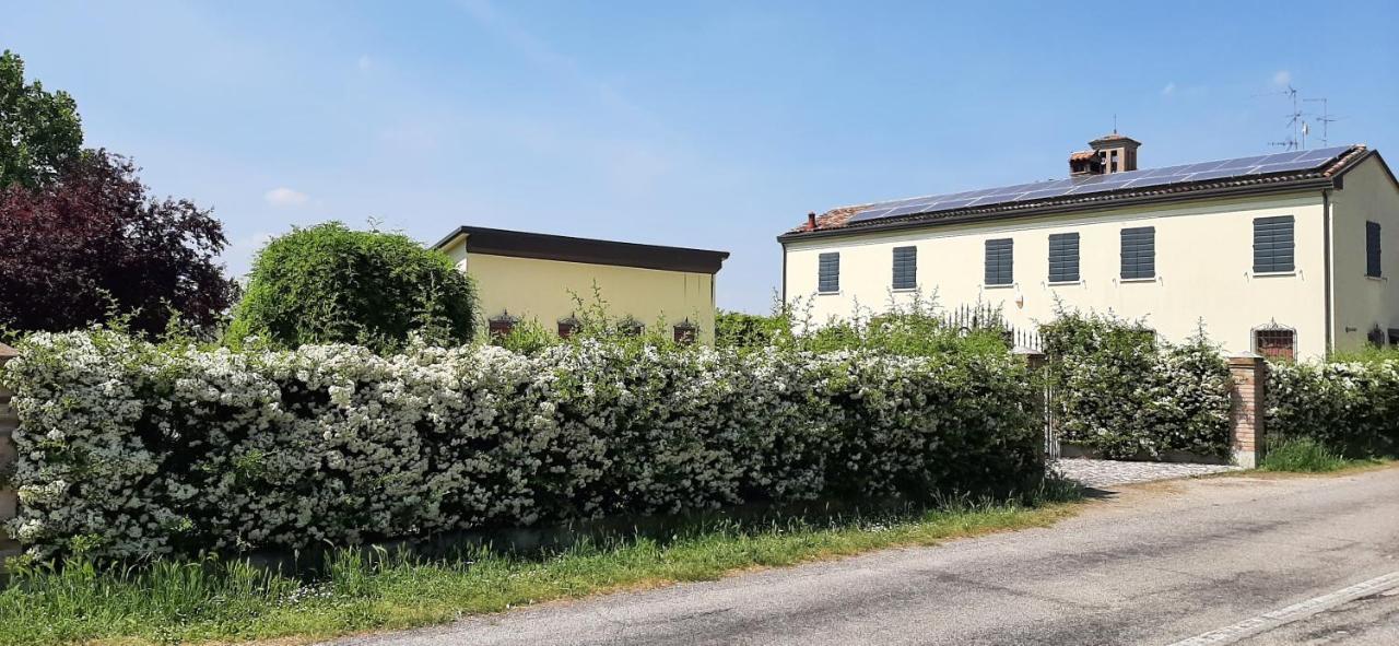 B&B Armonie Cotignola Exterior foto
